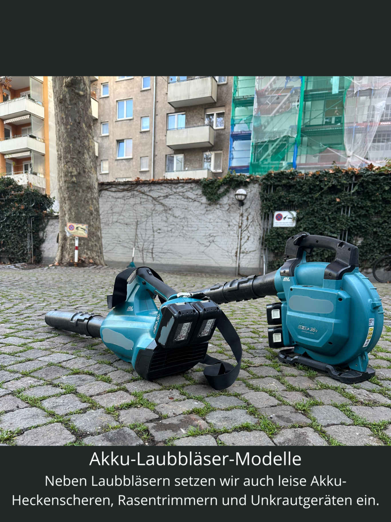 Akku-Laubbläser-Modelle